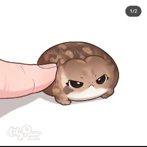 Urami